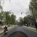 南京旅游 缩略图 11