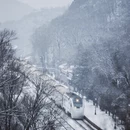 北京旅游 缩略图 3