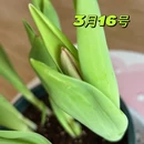 北京旅游 缩略图 7