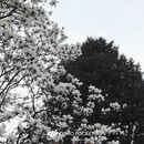 北京旅游 缩略图 8