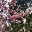 北京旅游 缩略图 5