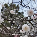 北京旅游 缩略图 10