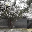 北京旅游 缩略图 12