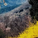 北京旅游 缩略图 4