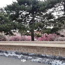 北京旅游 缩略图 13
