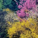 北京旅游 缩略图 2