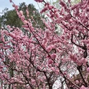 北京旅游 缩略图 6