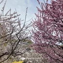 北京旅游 缩略图 9