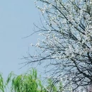 北京旅游 缩略图 6