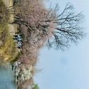 北京旅游 缩略图 10