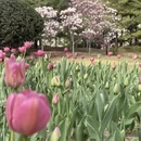 北京旅游 缩略图 3
