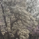 北京旅游 缩略图 5