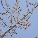 北京旅游 缩略图 2