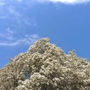 北京旅游 缩略图 1