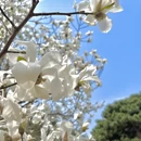 北京旅游 缩略图 9