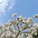 北京旅游 缩略图 7