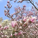 北京旅游 缩略图 5