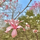 北京旅游 缩略图 12