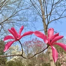 北京旅游 缩略图 10