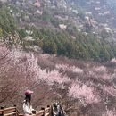 北京旅游 缩略图 1