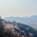北京旅游 缩略图 3