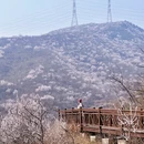 北京旅游 缩略图 2