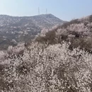 北京旅游 缩略图 7