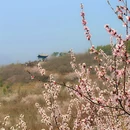北京旅游 缩略图 5