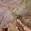北京旅游 缩略图 8