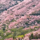 北京旅游 缩略图 2