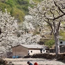 北京旅游 缩略图 4