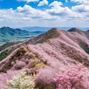 北京旅游 缩略图 1