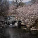 北京旅游 缩略图 1