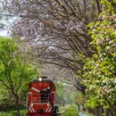 北京旅游 缩略图 4