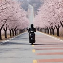 北京旅游 缩略图 3