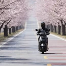 北京旅游 缩略图 2