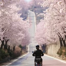 北京旅游 缩略图 1