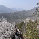 北京旅游 缩略图 3