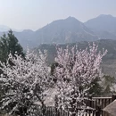 北京旅游 缩略图 5