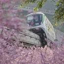 重庆旅游 缩略图 1