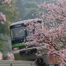 重庆旅游 缩略图 4