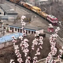 北京旅游 缩略图 5