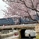 天津旅游 缩略图 4