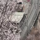 北京旅游 缩略图 4