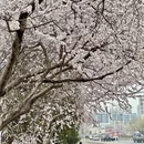 天津旅游 缩略图 7