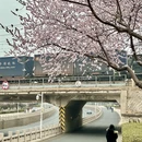 天津旅游 缩略图 6
