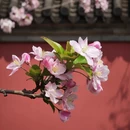 北京旅游 缩略图 3