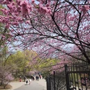 北京旅游 缩略图 7