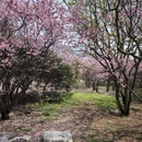 北京旅游 缩略图 6