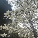 济南旅游 缩略图 7